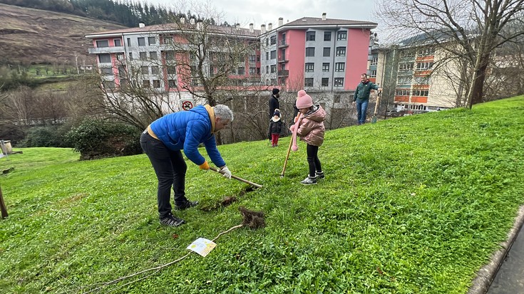 Zuhaitz landaketarako planteamendu berri bila