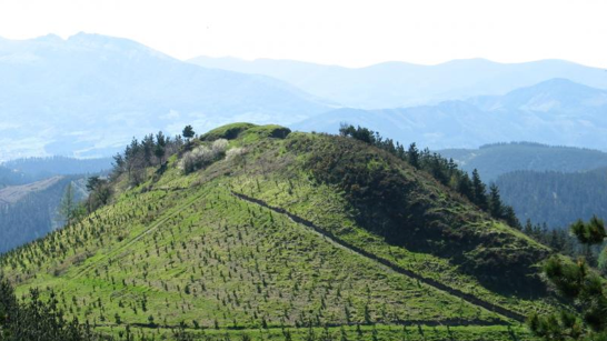 Mendi irteera, Elgetan