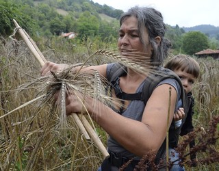Lurra iraultzeaz gain, lehen sektorea bera irauli nahi dute