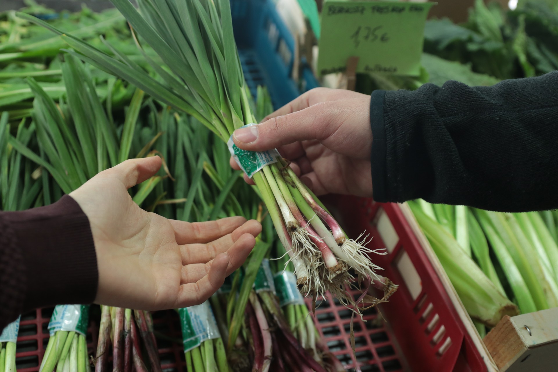 Bailarako barazki ekoizleek salduko dituzte produktuak abuztuan, Erein Da Jan dendetan