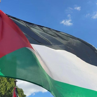 Palestinaren aldeko manifestazioa