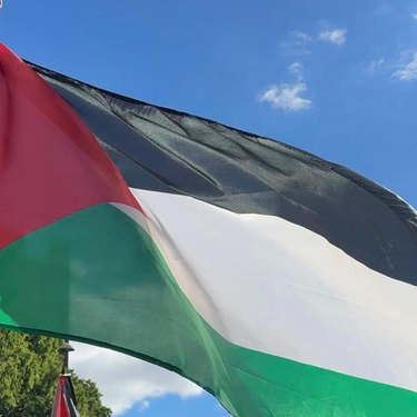 Palestinaren aldeko manifestazioa