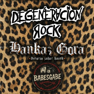 Punk-rock kontzertuak gaztetxean