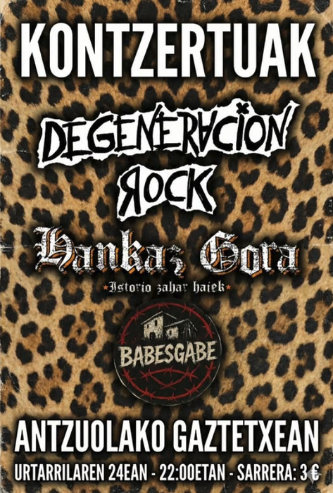 Punk-rock kontzertuak gaztetxean