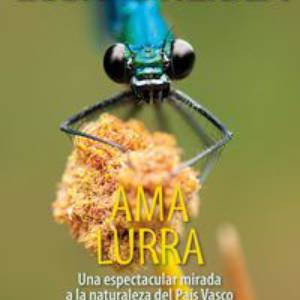 Liburuak