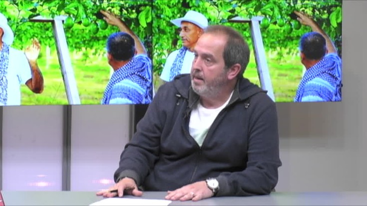 Aitor Altolagirre: "FARCeko borrokalari ohien artean 24 eta 70 urte arteko jendea dago"