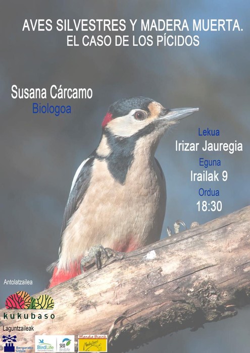 'Aves silvestres y madera muerta. El caso de los pícidos' hitzaldia