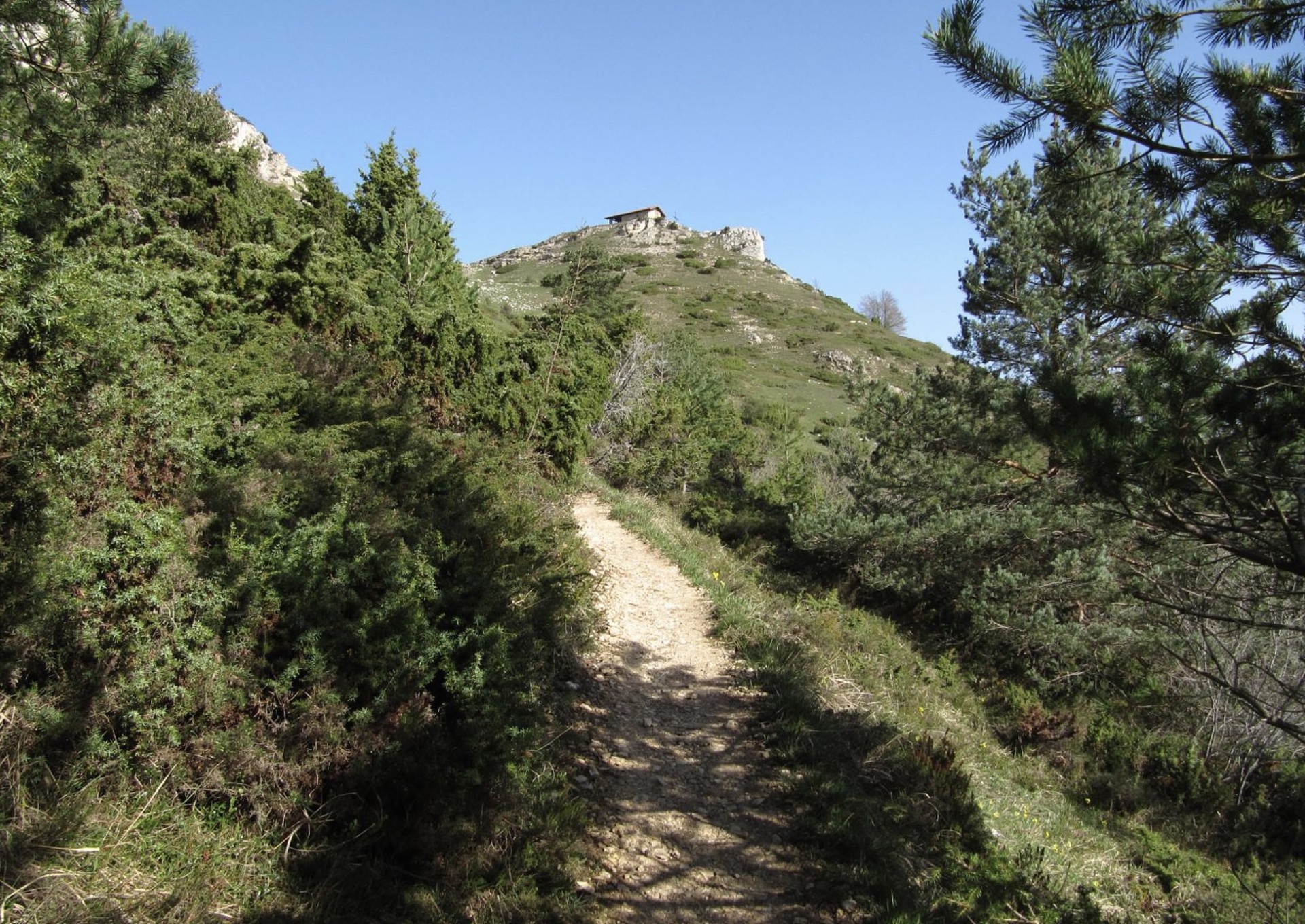 San Lorentzo eta euskara