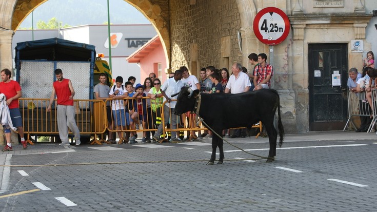 Bigantxak Elgetako jaietan (argazkiak)