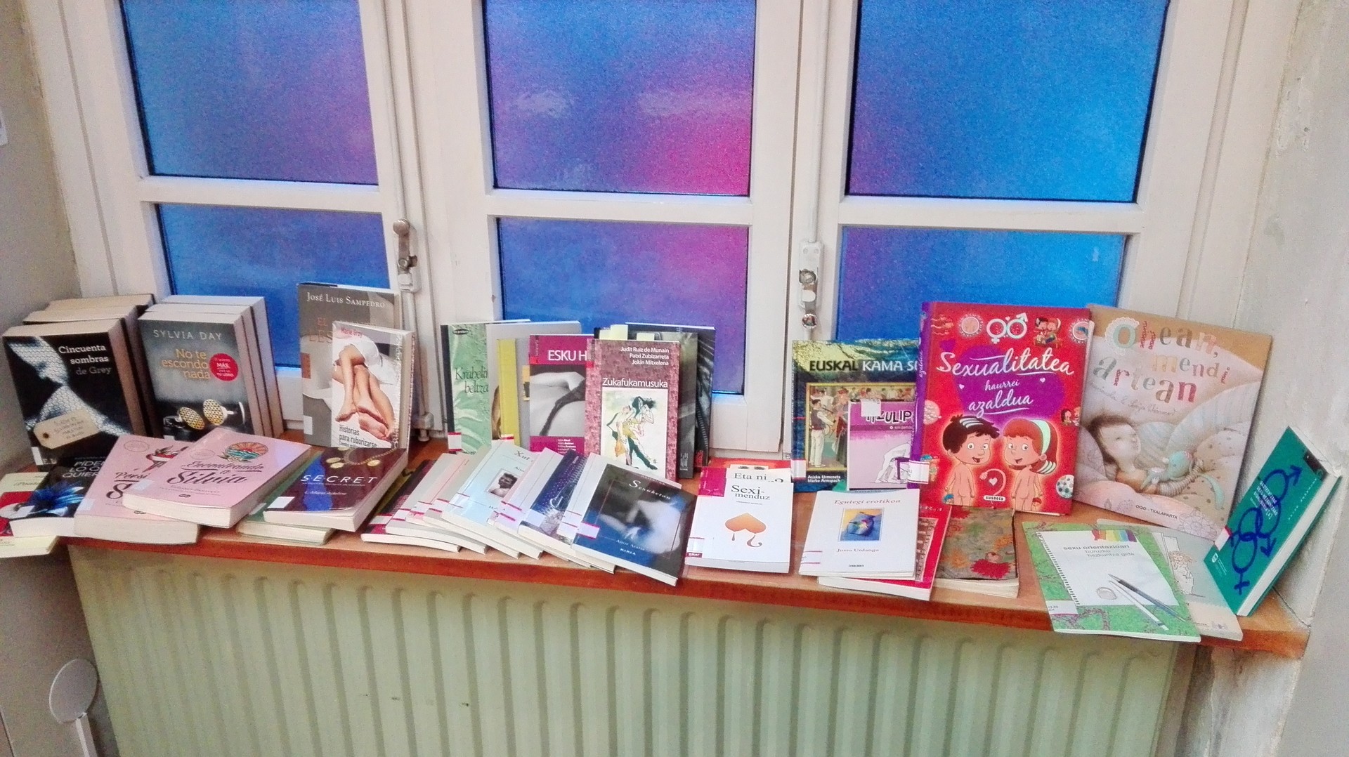 Irakurketa eta kontakizun erotikoak aste honetan Elgetako udal liburutegian