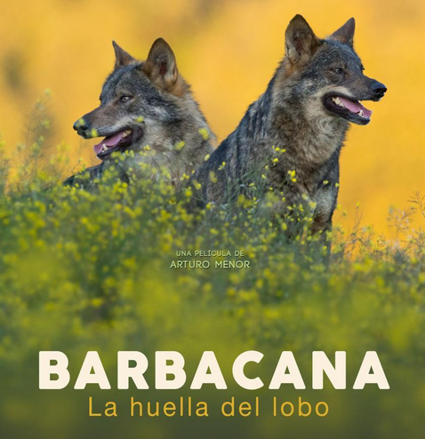 'Barbacana, la huella del lobo', dokumentala
