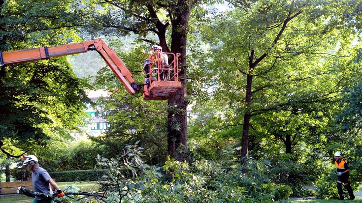 Sei zuhaitz botako direla-eta, Usondo parkeak erabilera mugatua izango du asteon