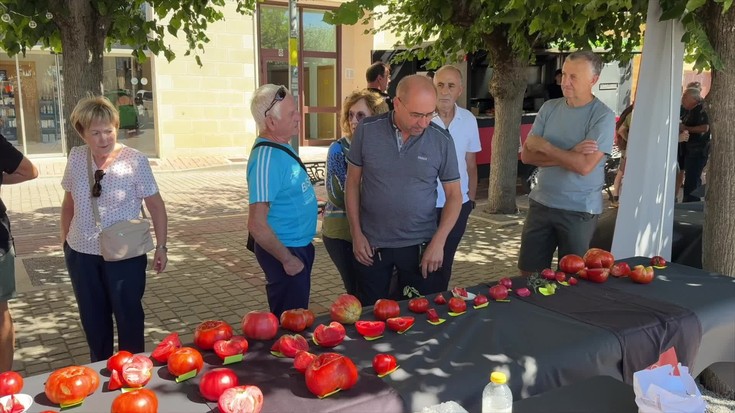 Albisteak: Aretxabaletako eta Mendigorriko tomateak, senidetuta