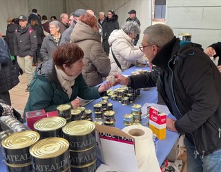 Napar Feria egin dute Bergaran