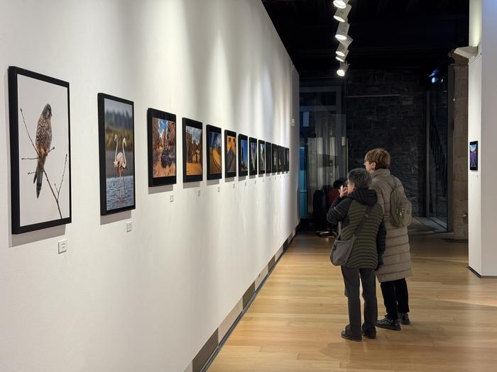 Azken egunak Arizondo Argazkizaleen elkarteko erakusketa bisitatzeko