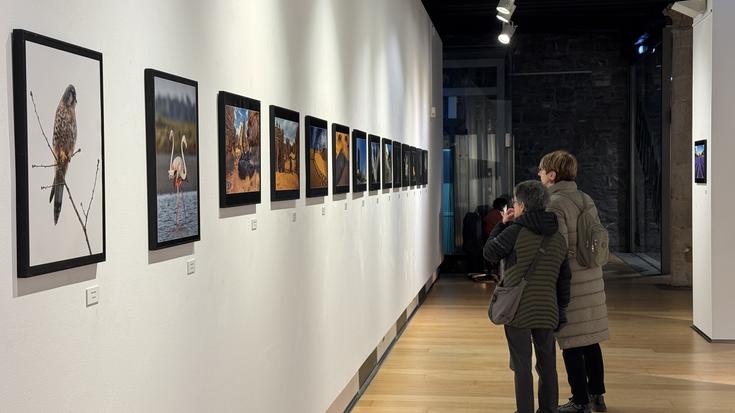 Azken egunak Arizondo Argazkizaleen elkarteko erakusketa bisitatzeko