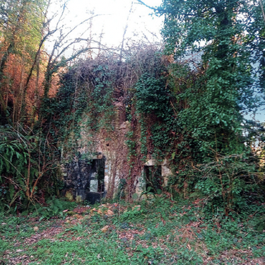 'Kortaburu-Etxezarreta' ibilaldia