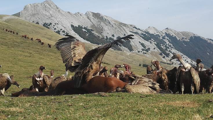 Saiei buruz jardungo dute gaur eta bihar Oñatiko kultura etxean