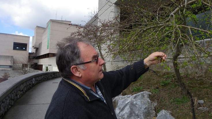 Fenologia saioa Arantzazun Pello Zabalarekin