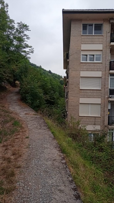 Artzamendi kaleko ezponda garbitzeko lanak abiarazi ditu Udalak