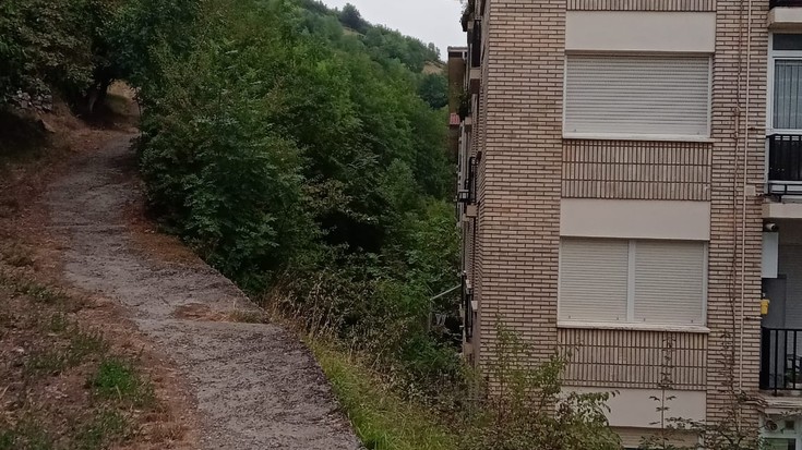Artzamendi kaleko ezponda garbitzeko lanak abiarazi ditu Udalak