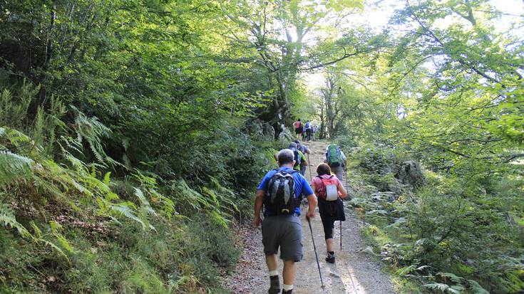 Domekan egingo da Aizkorri-Aratz Natura Parkea ezagutzeko hirugarren mendi irteera gidatua 