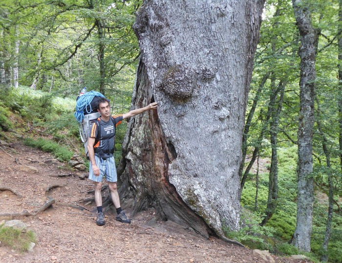 Martin Ramirez de Alda eskalatzailea hil da, 58 urte zituela