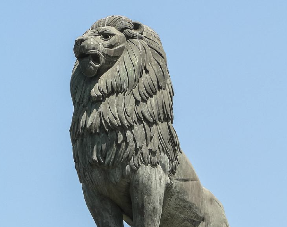 Dónde está león?