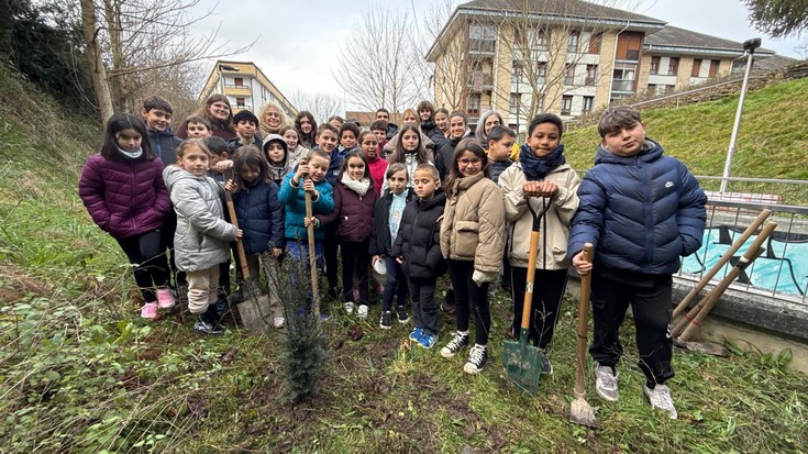 Luis Ezeizako eta Almeneko ikasleek hagin bat landatu dute elkarrekin