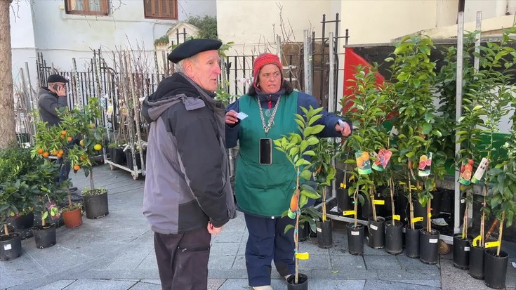 Arrasateko zuhaitz azokak izandako erantzunarekin gustura mintegiak