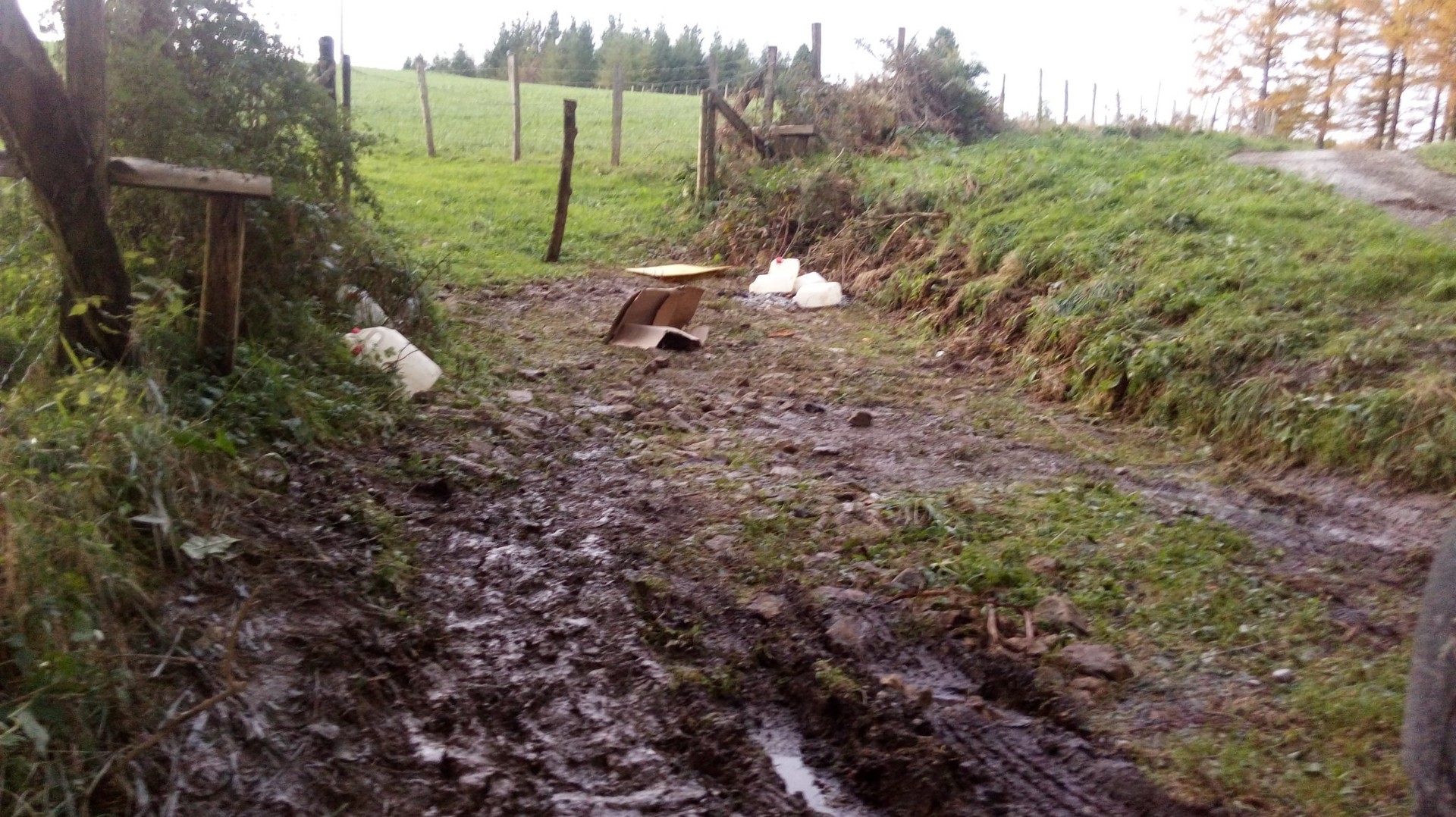 Zaborra pilatuta eta erreta herri lurretan