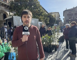 Bailarako aktualitatea jarraitzeko aukera egongo da 'Hemen Debagoiena' magazinean