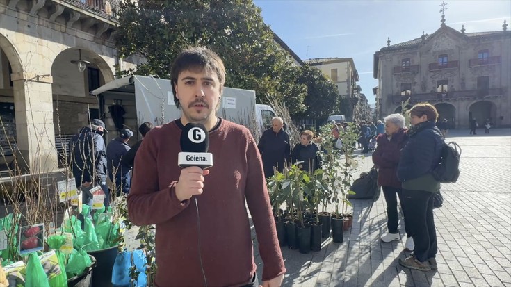 Bailarako aktualitatea jarraitzeko aukera egongo da 'Hemen Debagoiena' magazinean