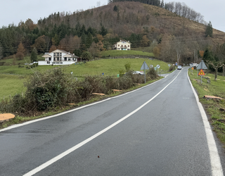Hilerri osteko herri-sarreran zeuden hamazazpi zuhaitzak bota ditu Aldundiak