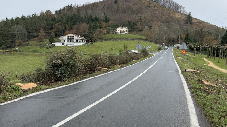 Hilerri osteko herri-sarreran zeuden hamazazpi zuhaitzak bota ditu Aldundiak