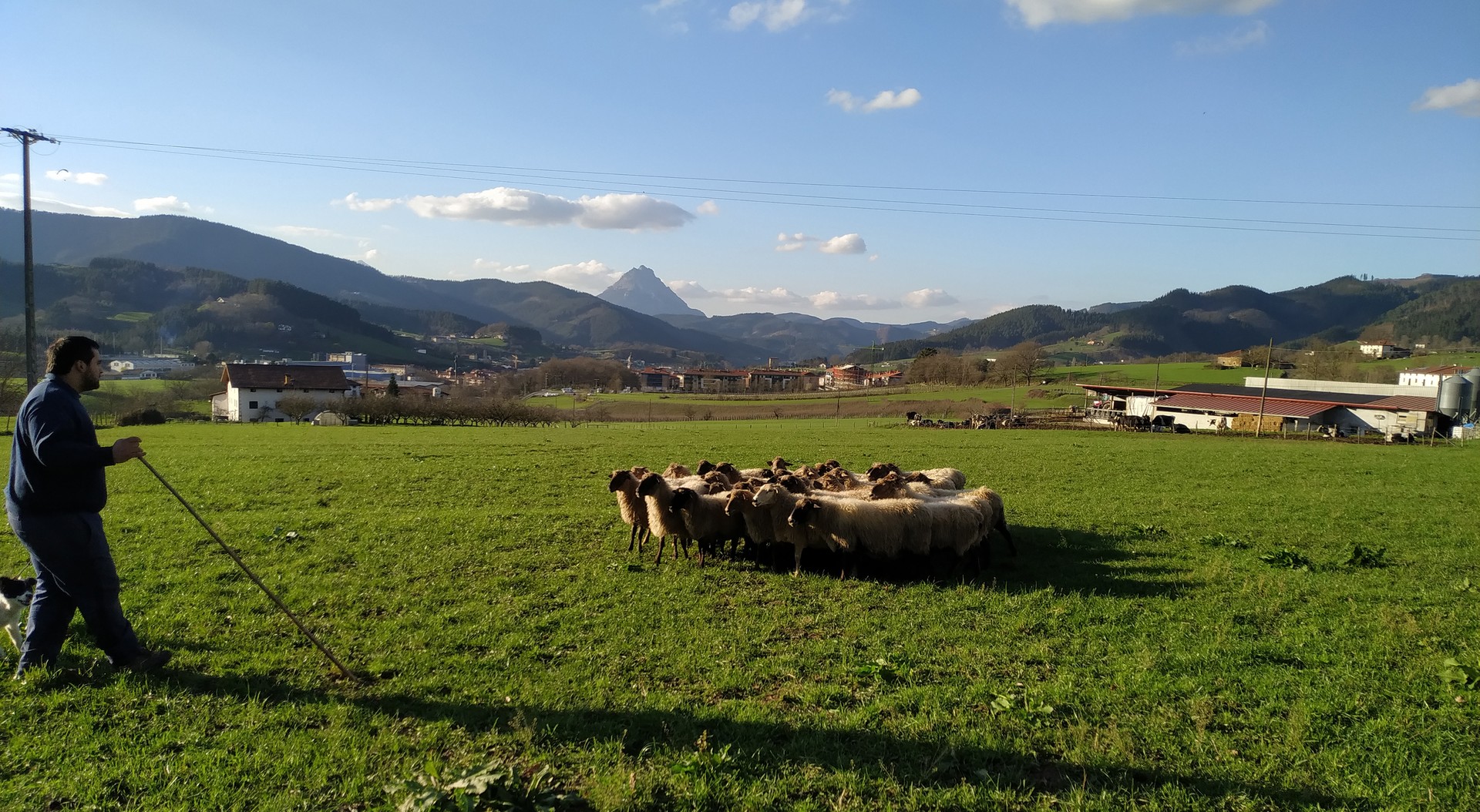 Oñatin CO2 isurketa helburuak betetzeko erabakigarria izan daiteke lehen sektorea
