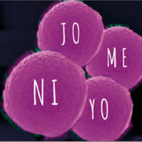 'Nijoyome' dantza ikuskizuna familientzat