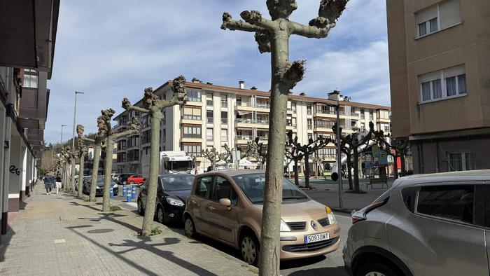 Hainbat zuhaitz birlandatuko dituzte egunotan Aretxabaletako lau gunetan