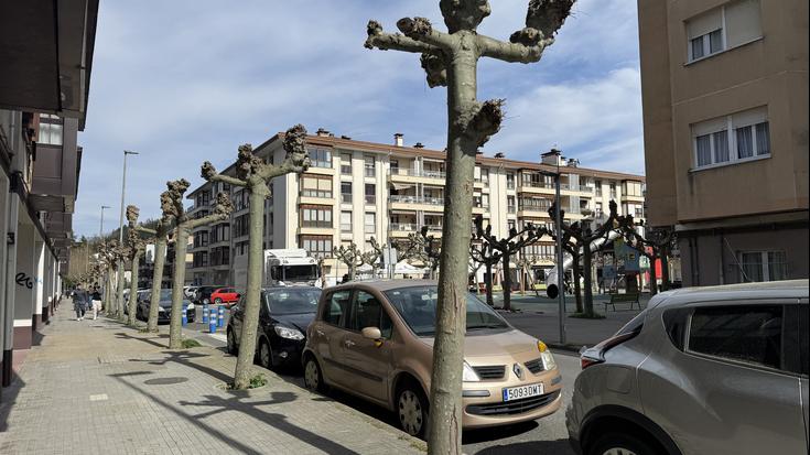 Hainbat zuhaitz birlandatuko dituzte egunotan Aretxabaletako lau gunetan