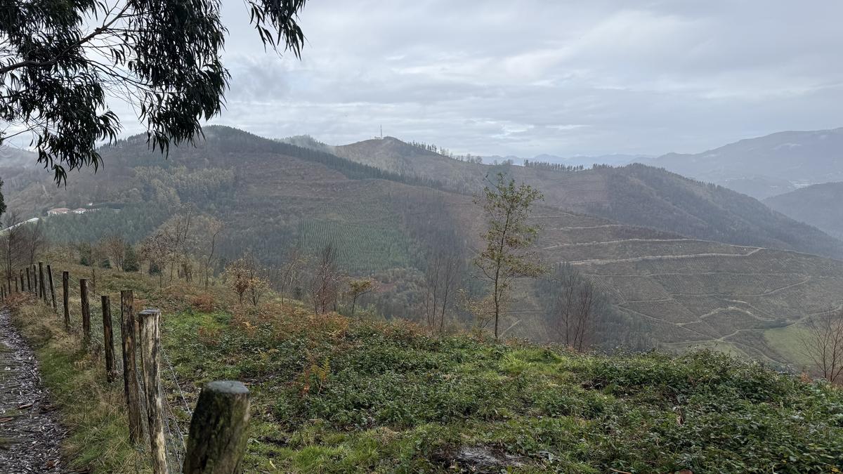 Abenduaren 22ra atzeratu dute Basalgo parke eolikoaren proiektuari alegazioak aurkezteko epea