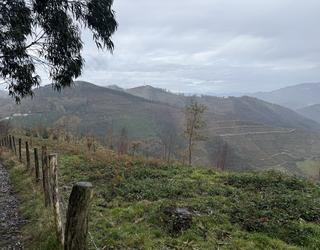 Abenduaren 22ra atzeratu dute Basalgo parke eolikoaren proiektuari alegazioak aurkezteko epea