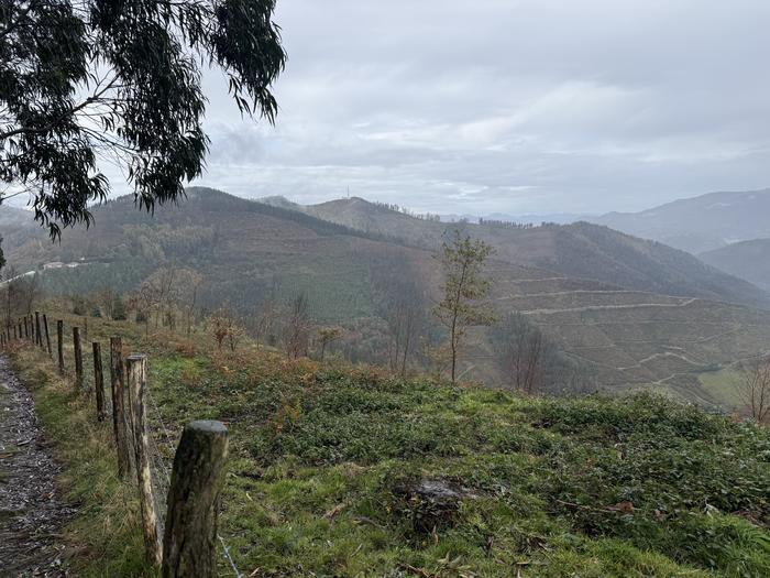 Abenduaren 22ra atzeratu dute Basalgo parke eolikoaren proiektuari alegazioak aurkezteko epea