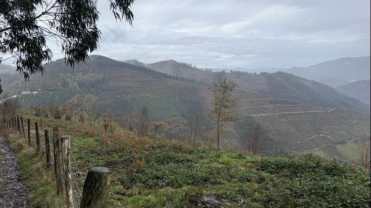 Abenduaren 22ra atzeratu dute Basalgo parke eolikoaren proiektuari alegazioak aurkezteko epea