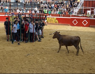 Sanjuanetako entzierroetarako sarrerak salgai egongo dira Amaia antzokian