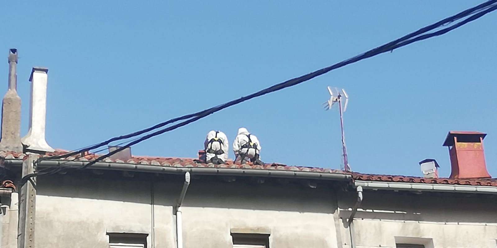 Erle habia bat kendu dute Elgetako etxebizitza batetik