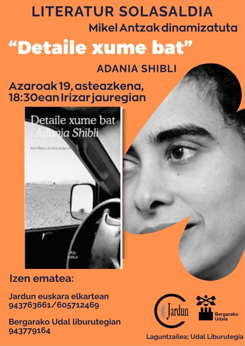 Literatur solasaldia