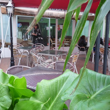Terraza