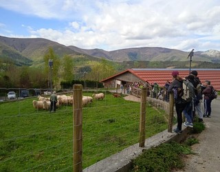 'Izan artzain egun batez' bisita gidatua eskaini dute