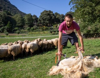Munduko Kopatik Sardiniara, eta berriro Euskal Herriko plazetara
