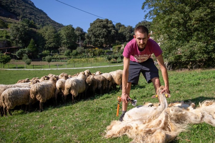 Munduko Kopatik Sardiniara, eta berriro Euskal Herriko plazetara